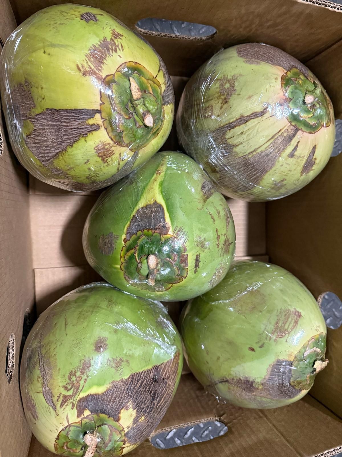 Cocos verdes en caja comercial