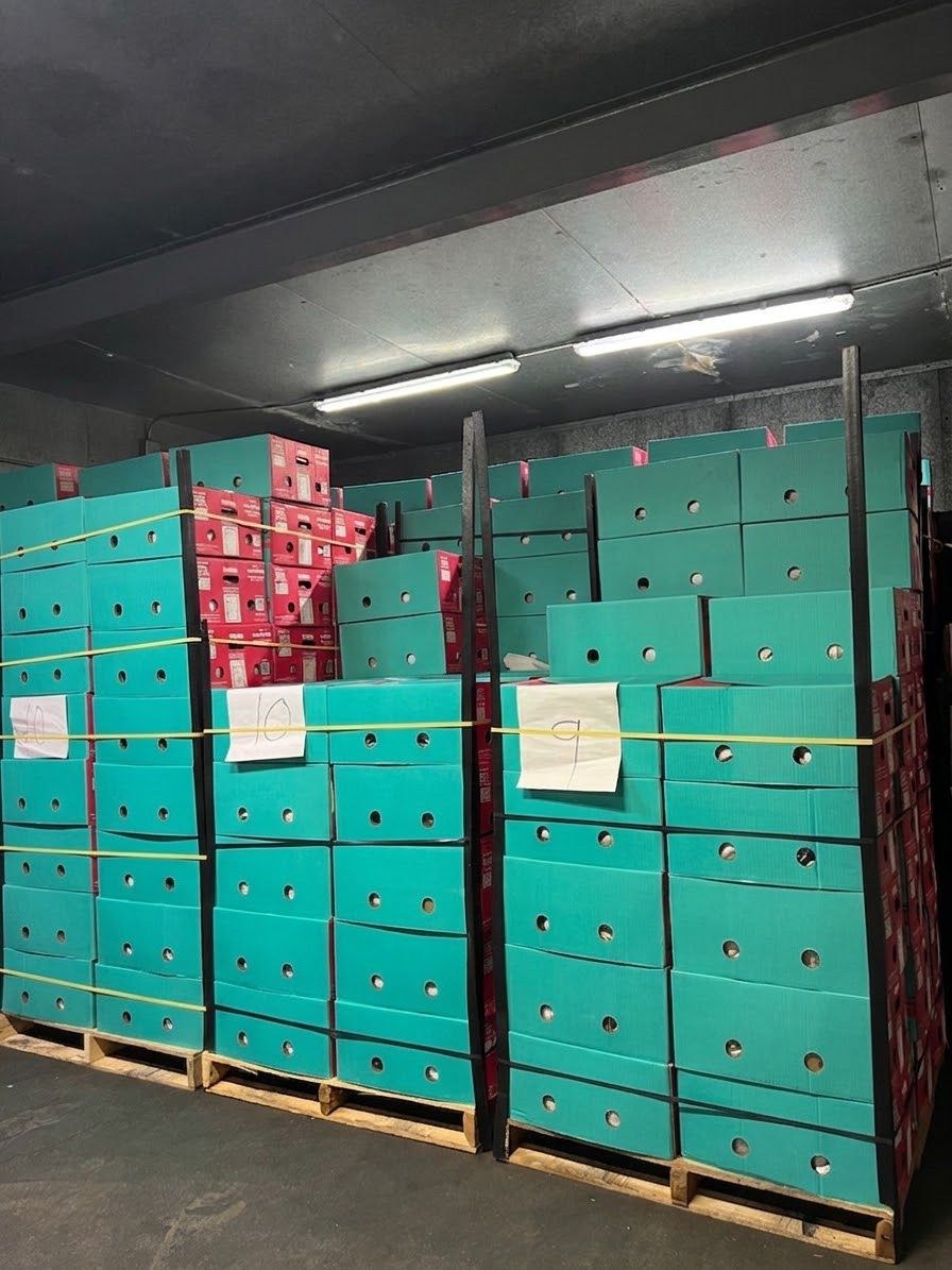 Cajas en cuarto frío