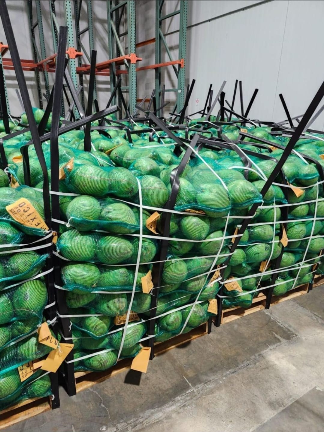 Pallets con producto empacado