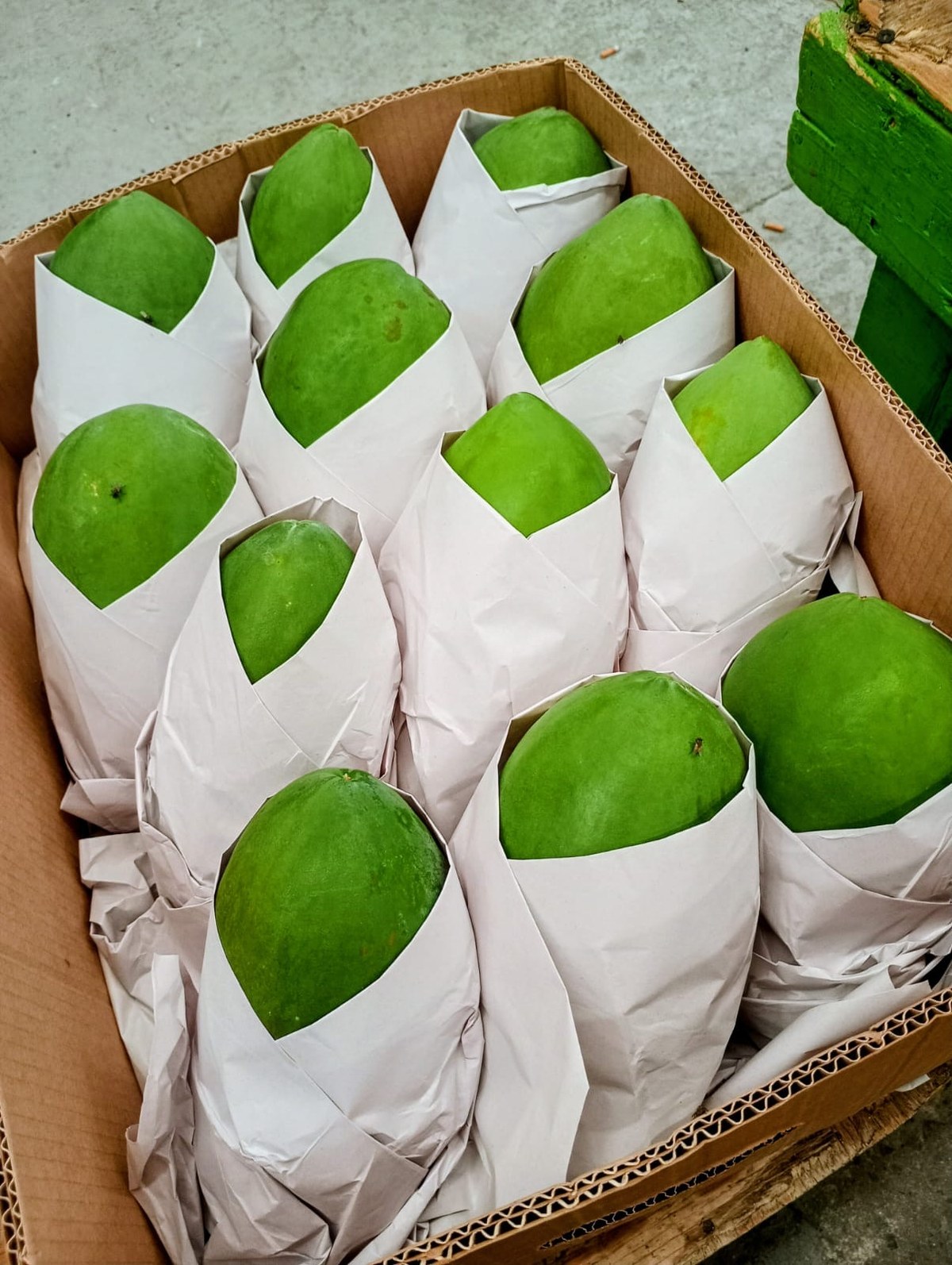 Papaya verde en caja comercial